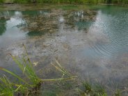 What's Hiding Below? | The Aqua Contractor 
