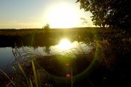 Aquatic weeds and global warming | The Aqua Contractor