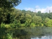 Are aquatic weeds more of a problem during summer? | The Aqua Contractor