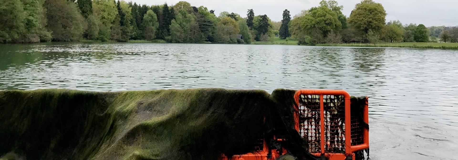 Pond Weed Removal Service | Removal of Weed | The Aqua Contractor