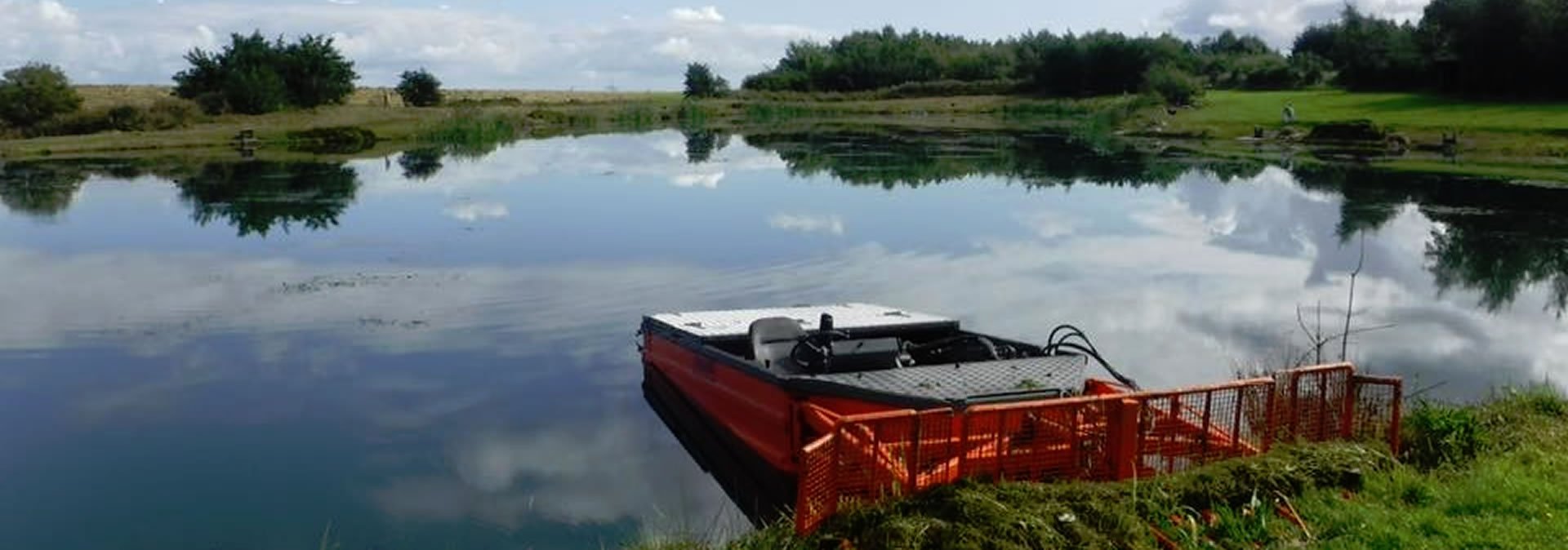 Pond Weed Identification | The Aqua Contractor