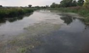 Weed Control At Canal Somerset