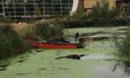 Weed Control At Center Parcs