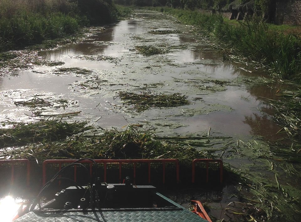 Canal Weed Clearance Taunton Somerset