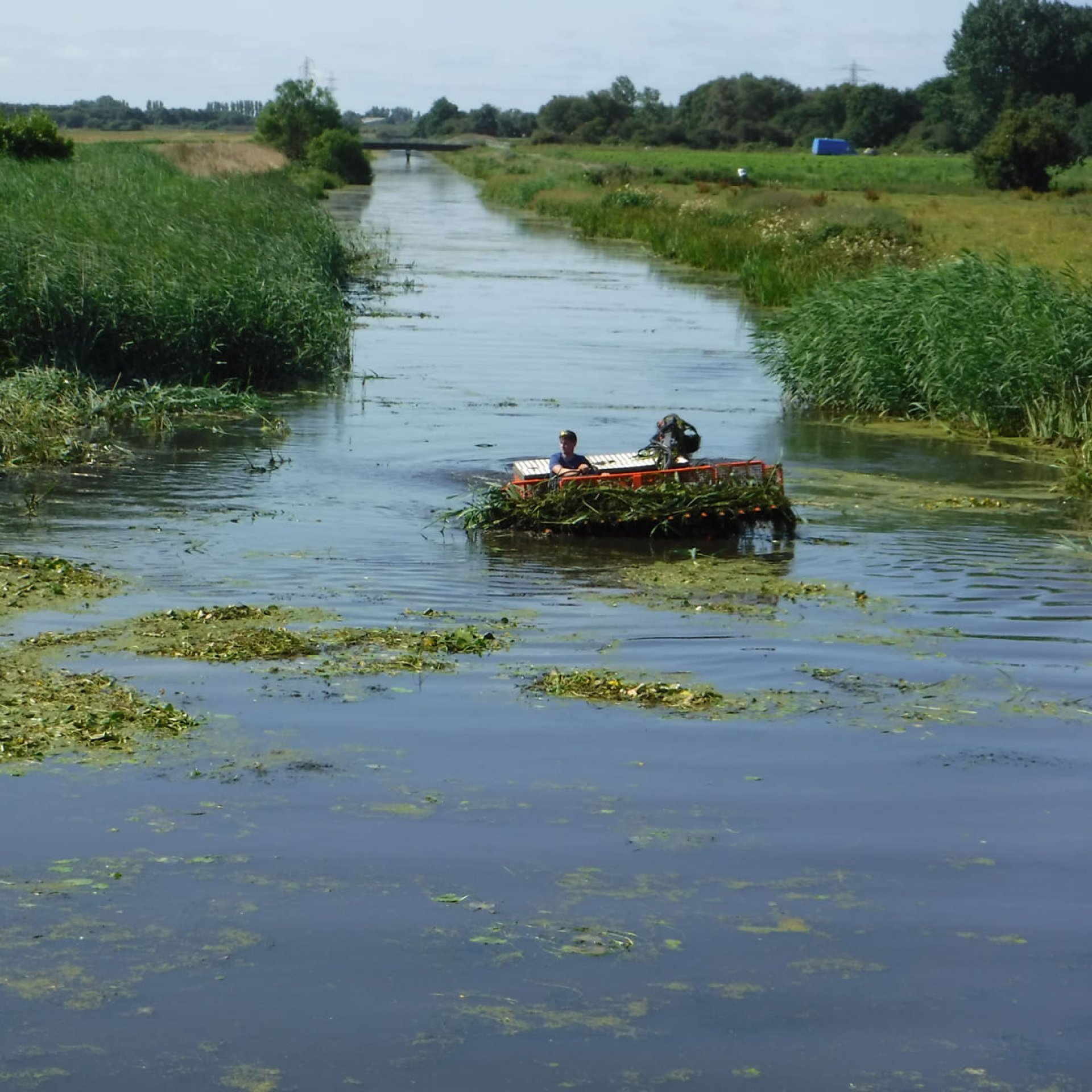 Will the Weeds Come Back? And Other FAQs | The Aqua Contractor
